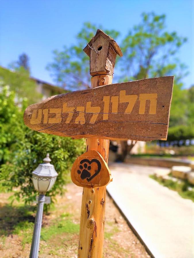 חלון לגלבוע צימר בוטיק בעמק המעיינות Bet Alfa 외부 사진