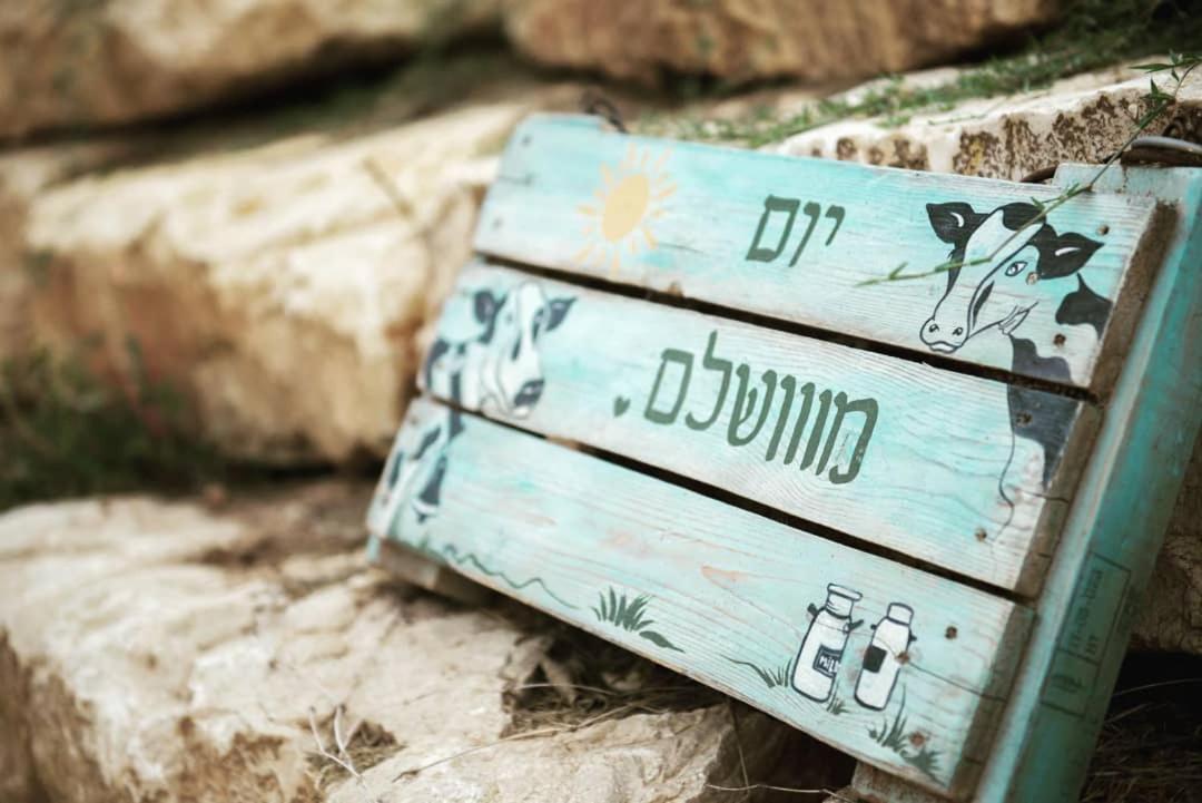 חלון לגלבוע צימר בוטיק בעמק המעיינות Bet Alfa 외부 사진